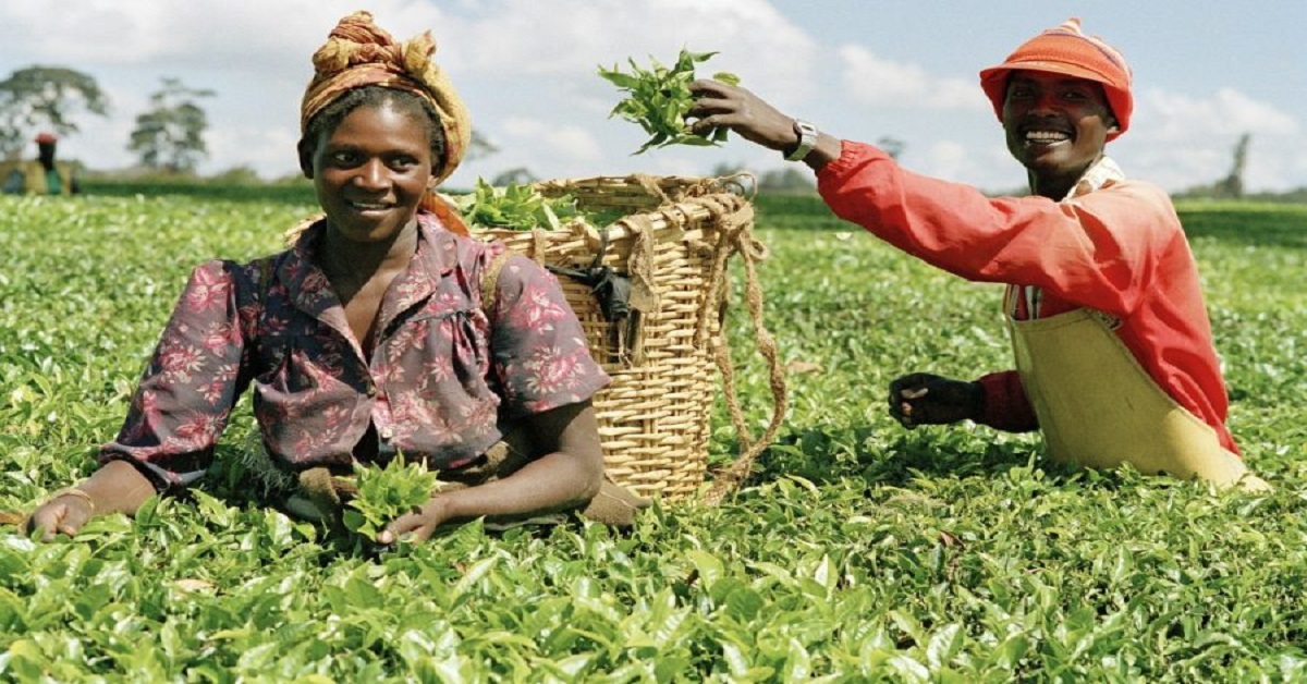 Nigeria Boosts Agricultural Products Exports By 65% Q1 2025