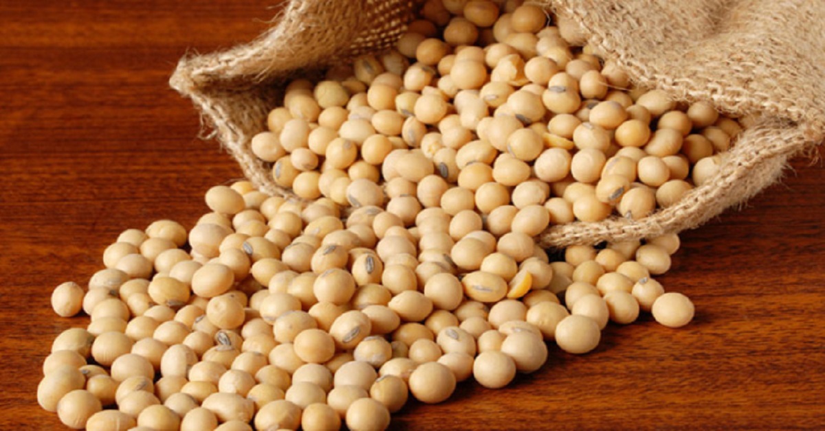 US Partners Nigerian Firms to Expand Soybean Trade Opportunities