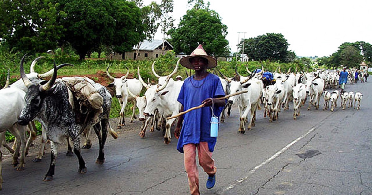 FG to Establish Cattle Breeding Centers in Six Zones