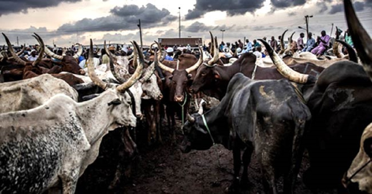 FG Unveils Federal-State-Private Sector Partnership To Transform Livestock Sector